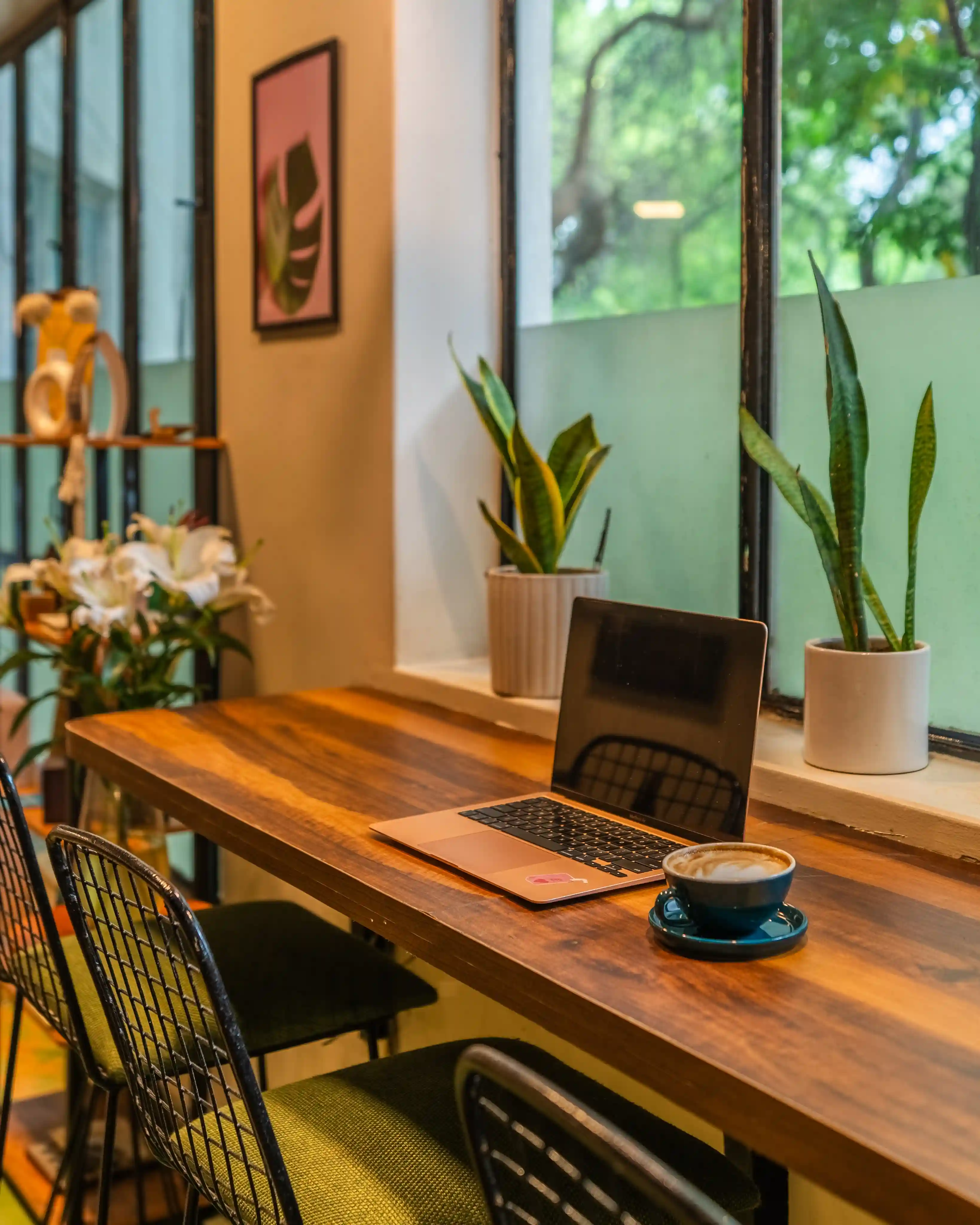 Fika delhi